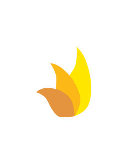 Novadontics logo